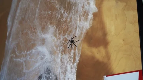Halloween spider on web decoration, spooky holiday setup Stock Footage 320249376