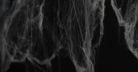 Halloween Spider Web with Soft Shadows on Black Background Stock Footage 318484076