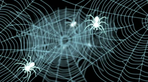 Halloween - Spider Webs 動画素材 41951663