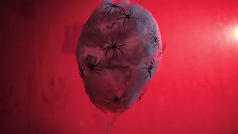 Halloween Spiders Nest on red background Stock-Footage 252741973