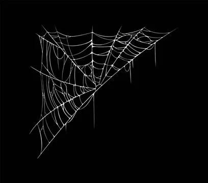Halloween spiderweb cobweb texture with thread Stock Illustration