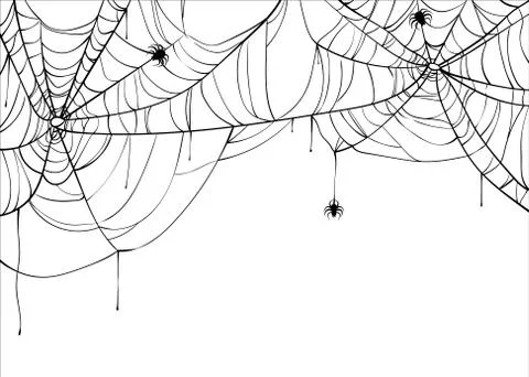 Halloween spiderweb vector background with spiders, copy space. Cobweb backdrop Ilustración de archivo