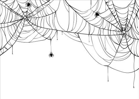 Halloween spiderweb vector background with spiders, copy space. Cobweb backdrop Ilustración de archivo