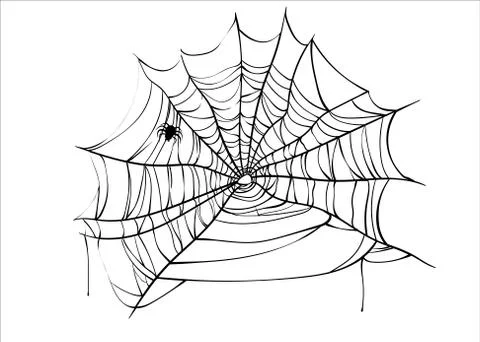 Halloween spiderweb vector with spider isolated on white 스톡 일러스트