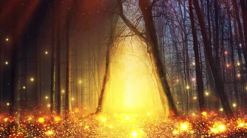 Halloween spooky forest background Video stock 207227878
