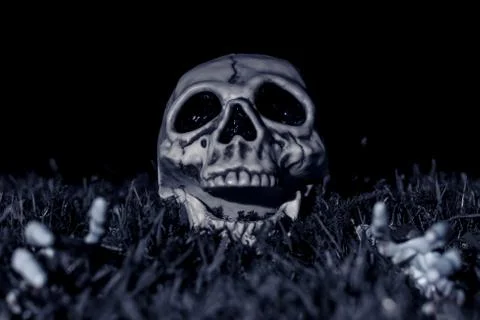 Halloween Spooky Skeleton Attack Stock Photos