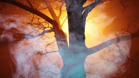 Halloween spooky smoke tree background Stock Footage 207227882