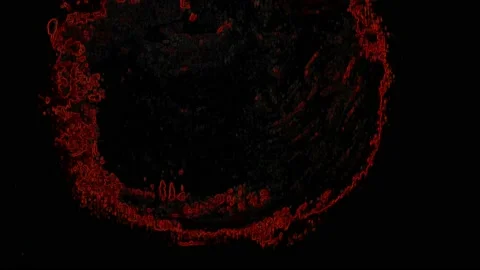 Halloween Stop Motion Title Card Animation Stock Footage 161689095