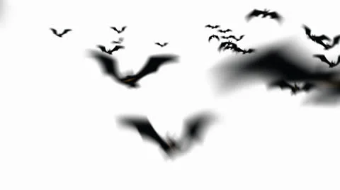 Halloween Swarm of Bats Flying towards Camera (WITH ALPHA) Stock Footage