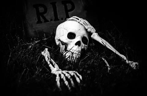 Halloween theme. Pattern with skeleton for Halloween banner. Stock Photos