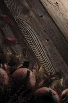 Halloween theme. Stock Photos