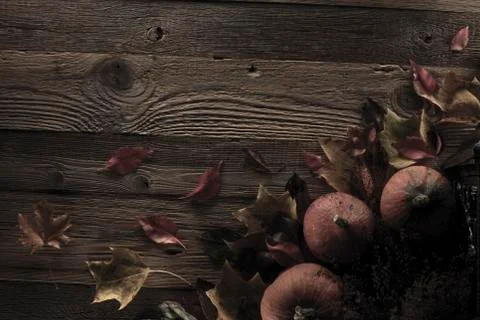 Halloween theme. Stock Photos