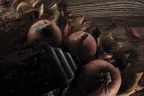 Halloween theme. Stock Photos