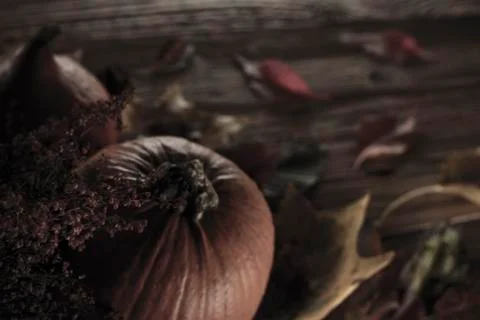 Halloween theme. Stock Photos