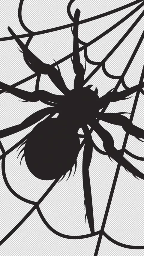 Halloween transition with spider on alpha Stock Footage 318235631