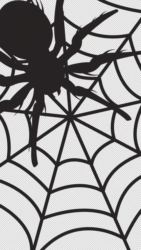 Halloween transition with spider and web on alpha Stock Footage 318243194