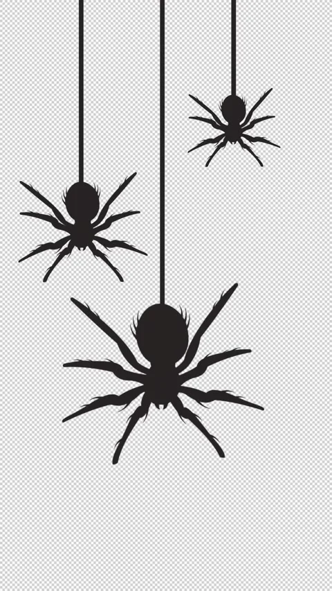Halloween transition with spiders on alpha Stock Footage 318317949