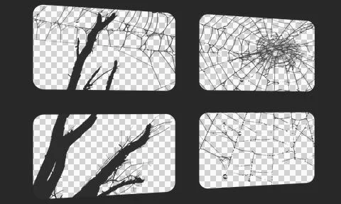 Halloween tree branch window shadow overlay with spider web and dew drops, .. イラスト素材
