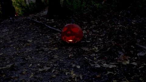  Halloween trick or treating pumpkins lit up.  Stock Footage 289591856