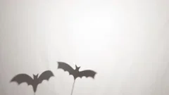 Happy Vampire Bat Cartoon Character Flying Forest Halloween Night Animation  Stock Video Footage by ©HitToon #444794392