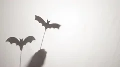 Happy Vampire Bat Cartoon Character Flying Forest Halloween Night Animation  Stock Video Footage by ©HitToon #444794392