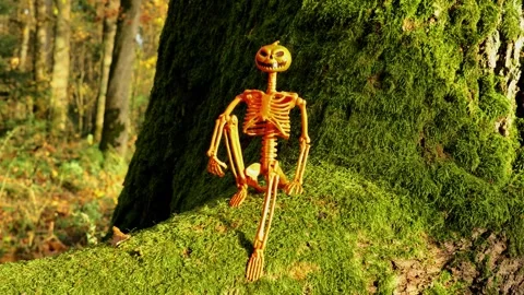 Halloween Wallpaper With Skeleton pumpkin under falling autumn leaves Stock Footage 310053495