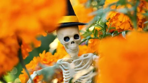 Halloween wallpaper.skeleton in a black hat by  orange marigolds Video stock 335479143