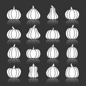 Halloween white pumpkin with reflection icon set Illustrazione stock