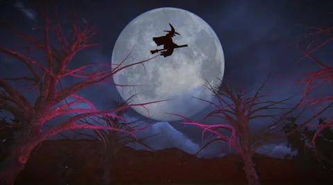 Halloween witch Stock Footage 41056827