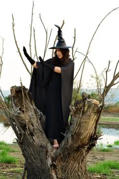 Halloween witch Foto stock