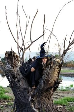 Halloween witch Foto stock