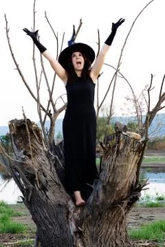 Halloween witch Stock Photos