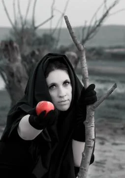 Halloween witch Stock Photos
