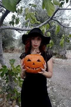 Halloween witch Stock Photos