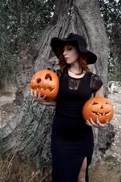 Halloween witch Stock Photos