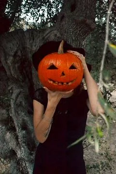 Halloween witch Stock Photos
