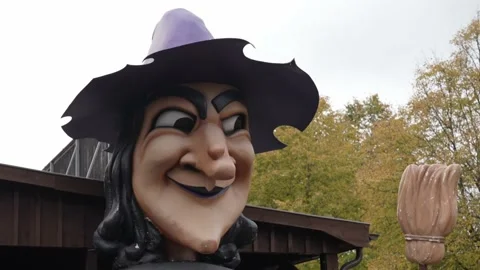 Halloween, witch is smiling close up, 4k Stock Footage 219866143