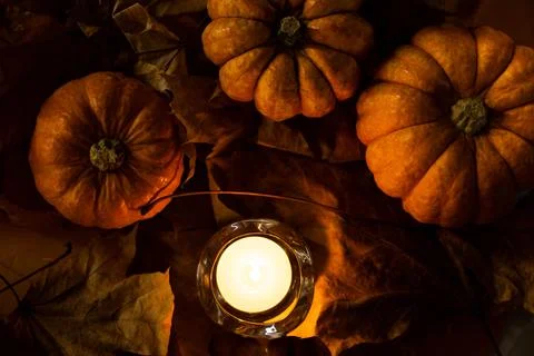 Halloween's holiday attributes Stock Photos