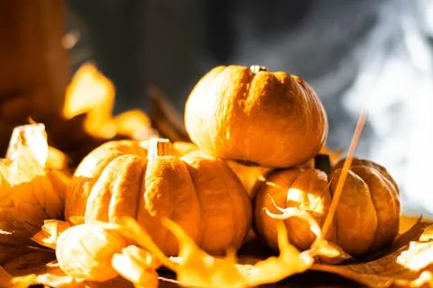 Halloween's holiday attributes Stock Photos