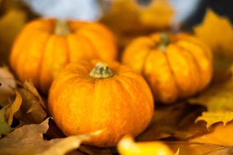 Halloween's holiday attributes Stock Photos