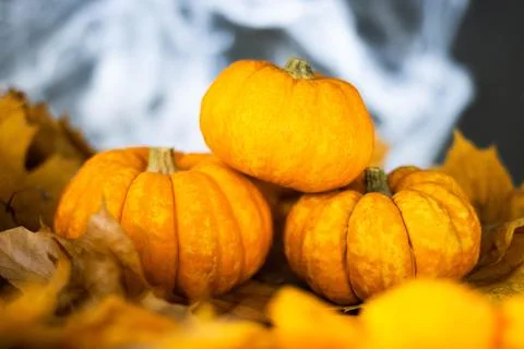 Halloween's holiday attributes. Trick or treat Stock Photos