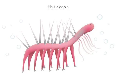 Hallucigenia Stock Illustration