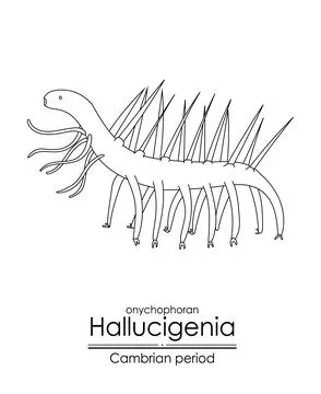 Hallucigenia Stock Illustration