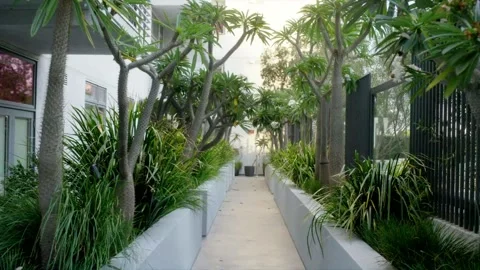 Hallway 1 Video stock 273287017