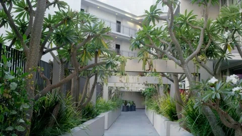 Hallway 2 Video stock 273287289