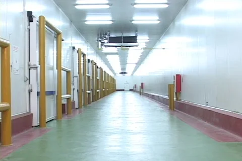 Hallway Stock Footage 265727