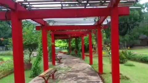 Hallway Stock Footage 244788313