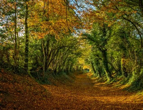 Halnaker Tunnel Stock Photos
