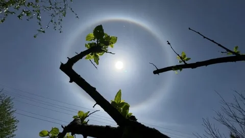 Halo sun effect optical phenomenon in Poland May 14th 2023 Stock Footage 241222220