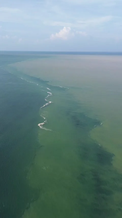 Halocline in the water Video stock 260628457